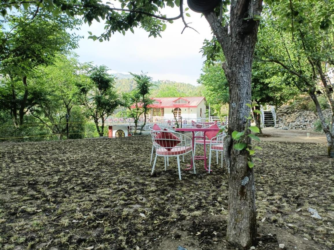 Aaroham Resort, Shimla Exteriör bild