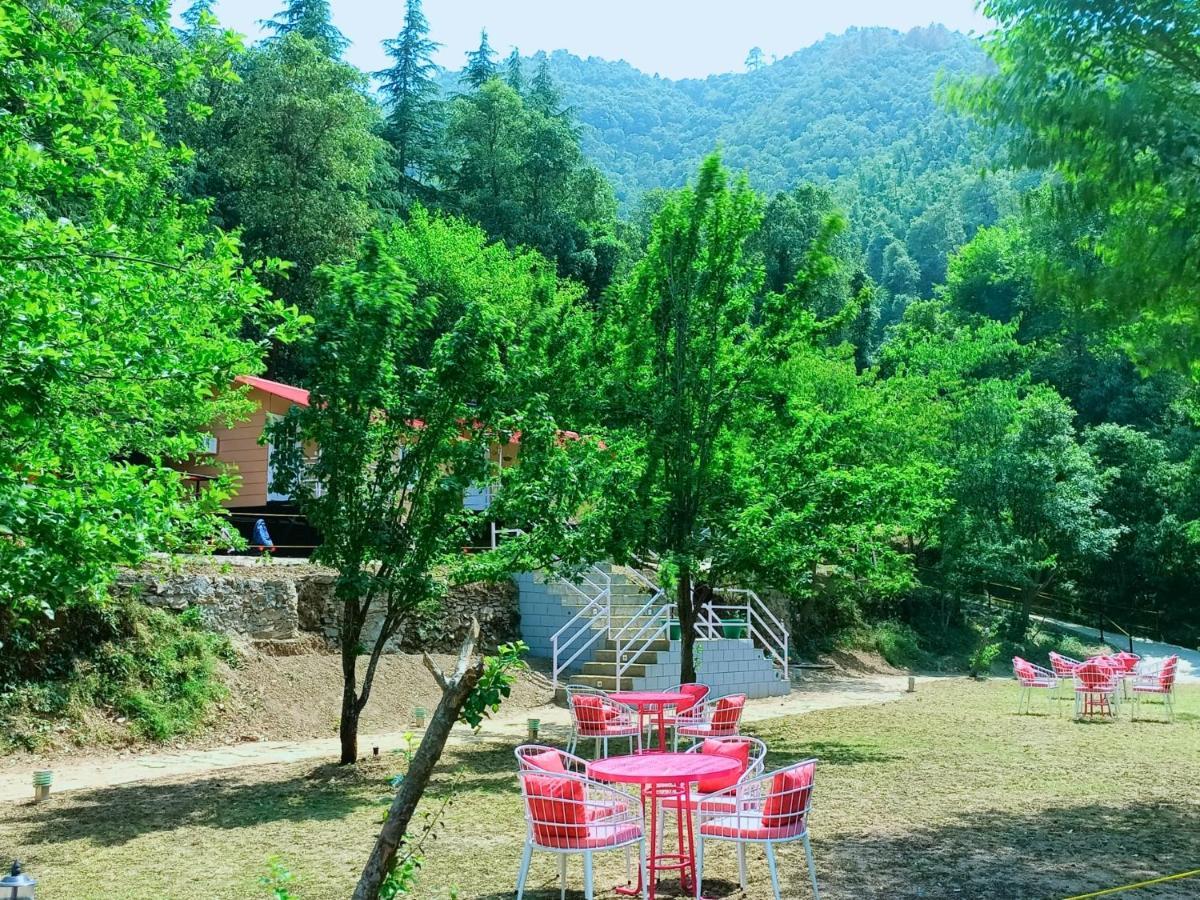 Aaroham Resort, Shimla Exteriör bild