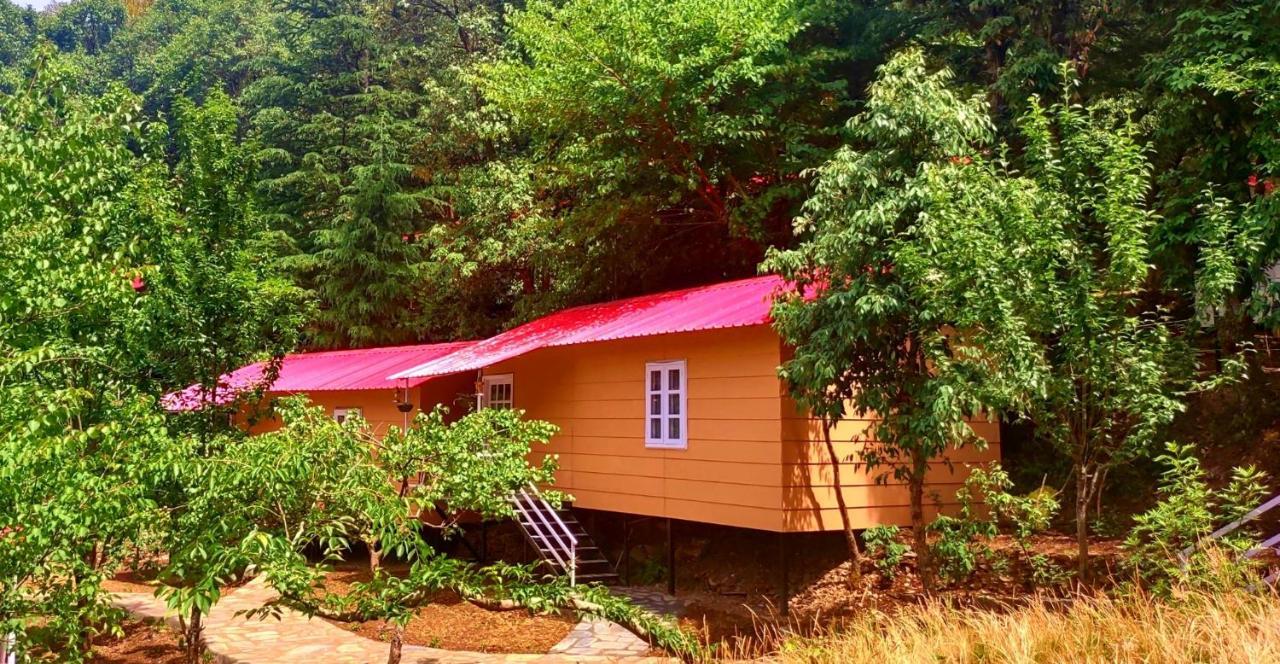 Aaroham Resort, Shimla Exteriör bild